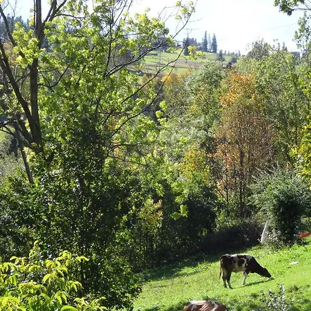 Witaj Bukowina Tatrzańska