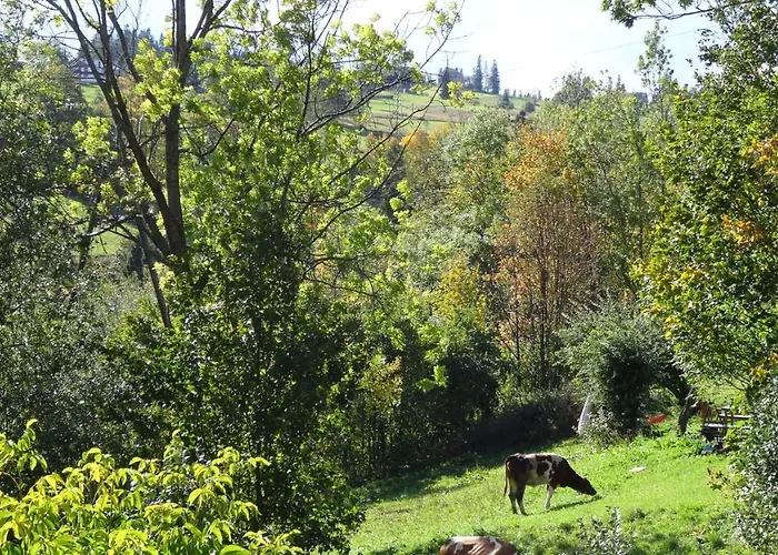 Witaj Bukowina Tatrzańska